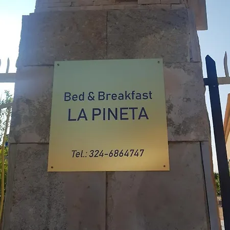 La Pineta 3*