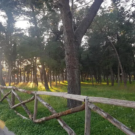 La Pineta Quasani
