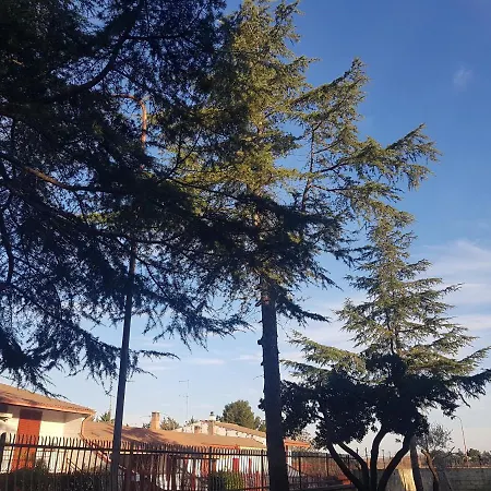 住宿加早餐酒店 La Pineta Quasani