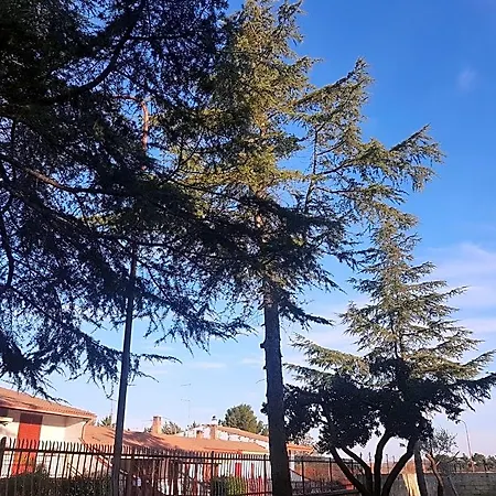 La Pineta