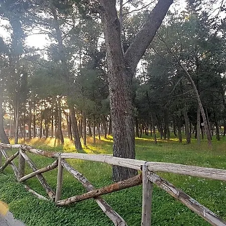 Bed & Breakfast La Pineta