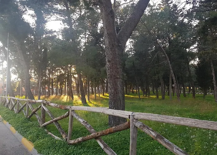 La Pineta Quasani